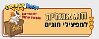 אנגלית